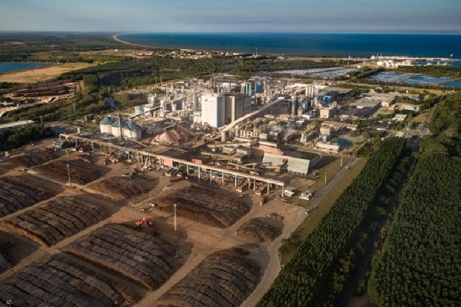 Suzano vende 2,7 milhões de toneladas de celulose e papéis no primeiro trimestre de 2022.