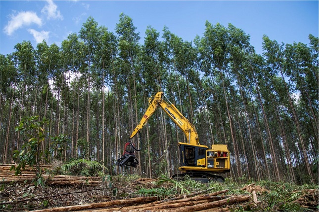 Suzano abre inscrições para nova turma de operadoras e operadores de máquinas florestais em São Mateus.