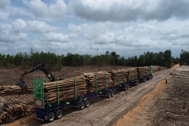 Suzano inicia um novo sistema de logística florestal no Extremo Sul da Bahia. 